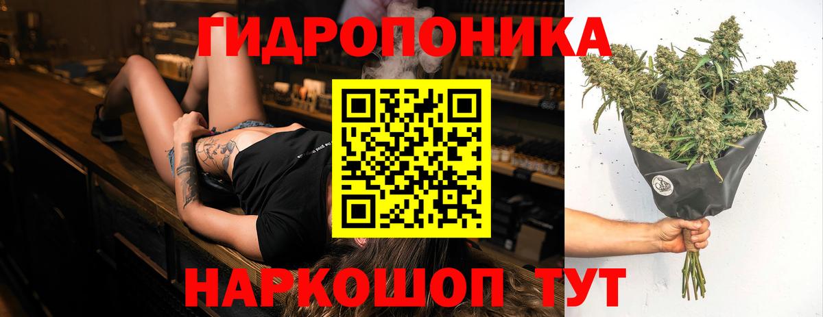 Шишки марихуана White Widow  Шишки марихуана сатива  Марихуана планчик  Клинцы  Вход с VPN  Бошки Шишки OG Kush 